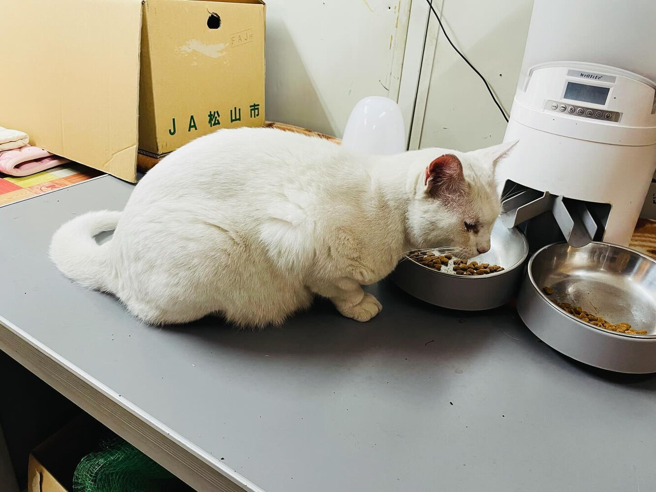 ブログ