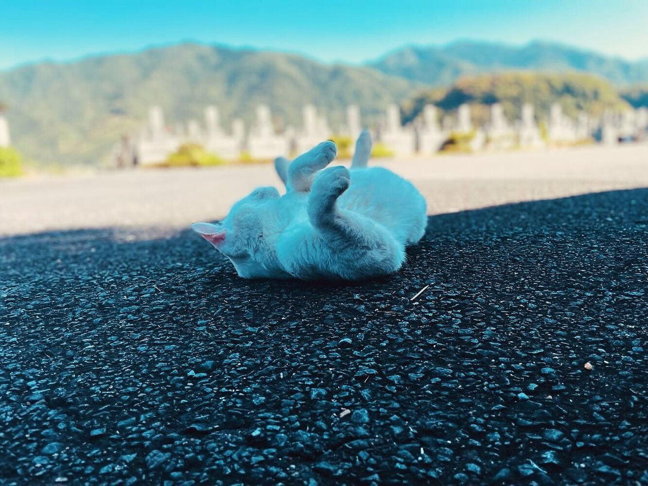 ブログ