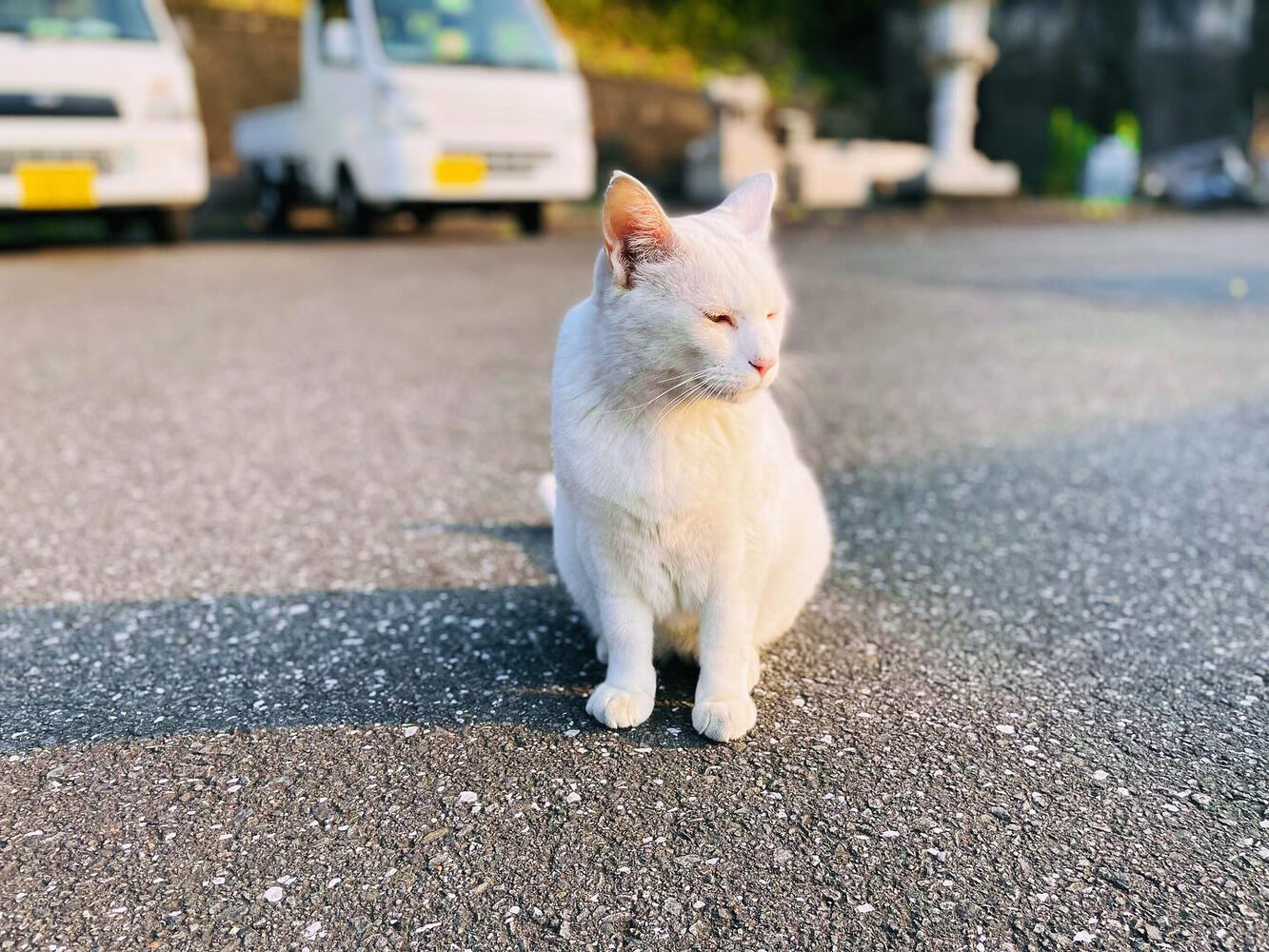 ブログ