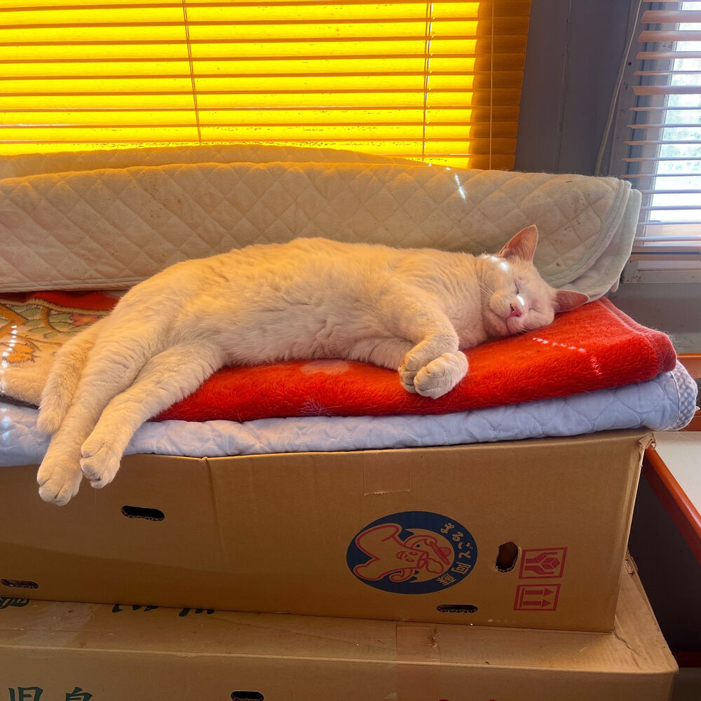 ブログ