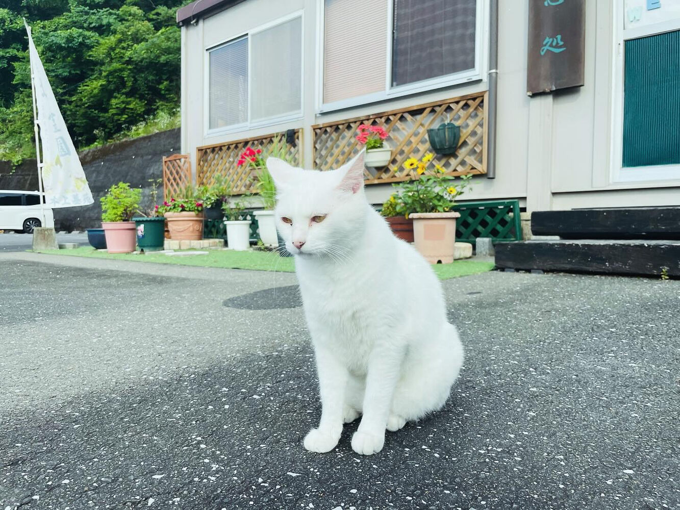 ブログ