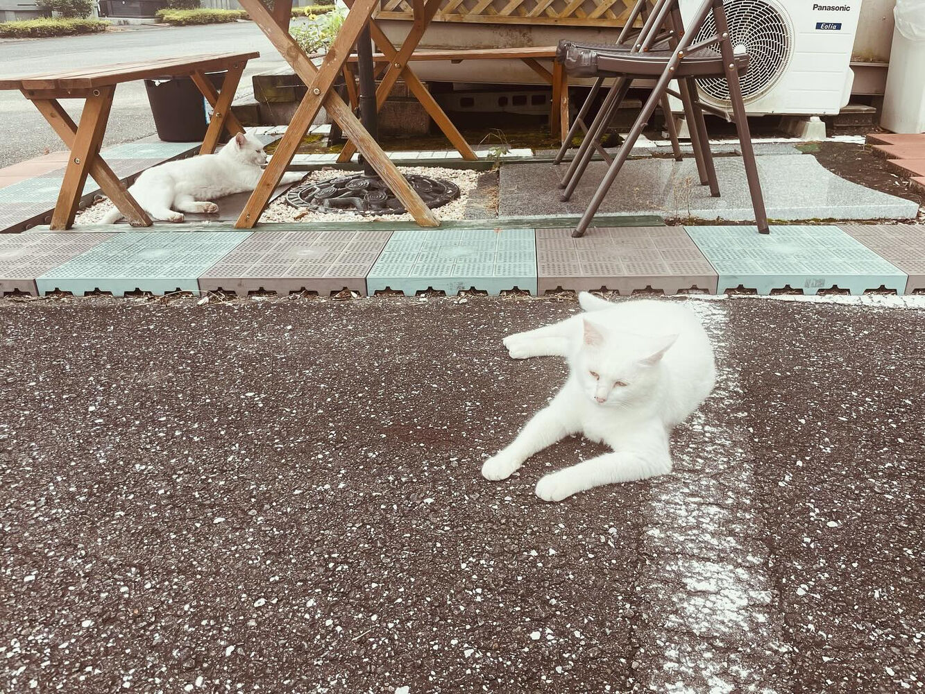 ブログ