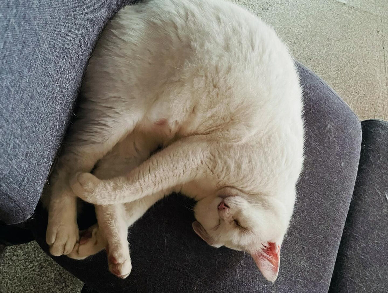 ブログ