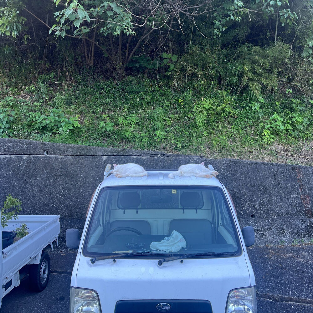 ブログ