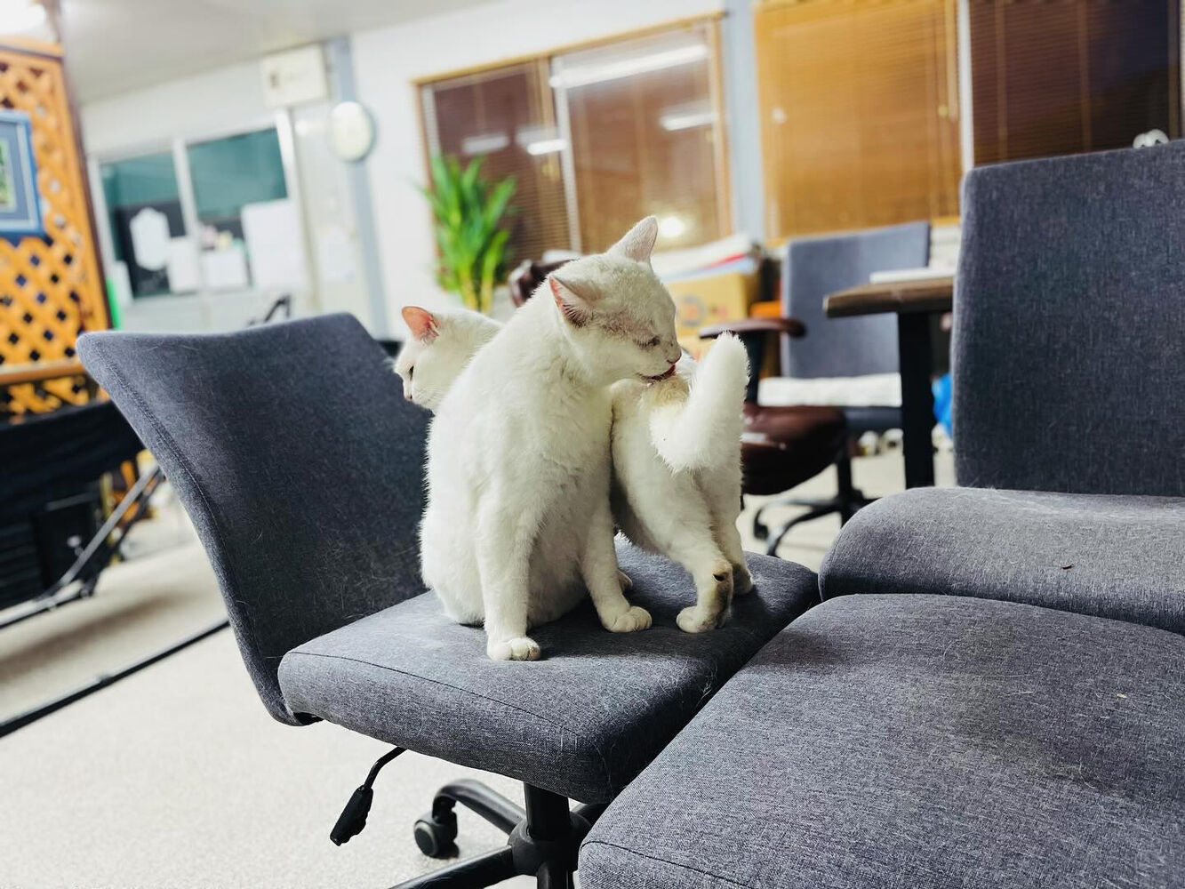 ブログ