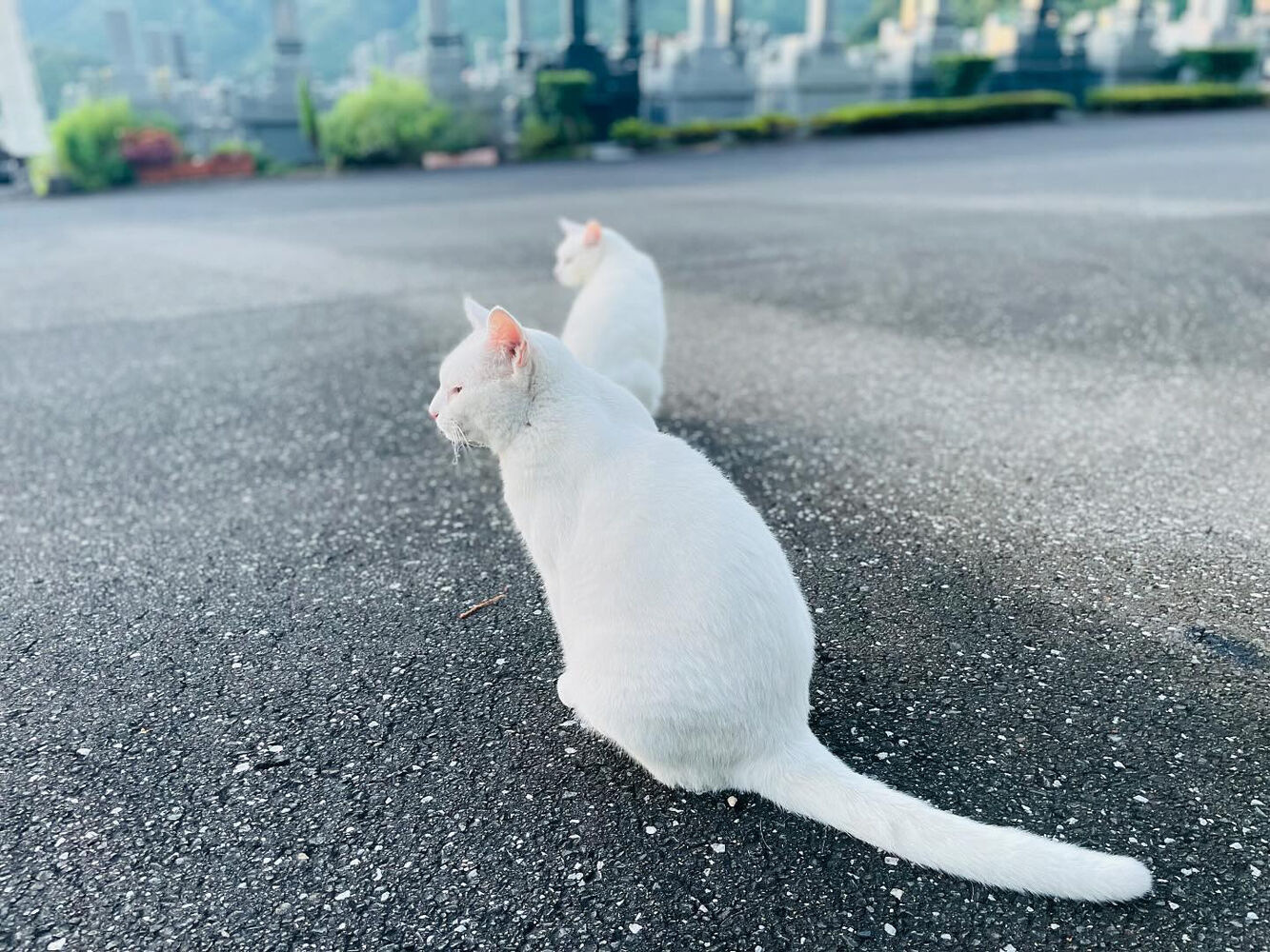 ブログ