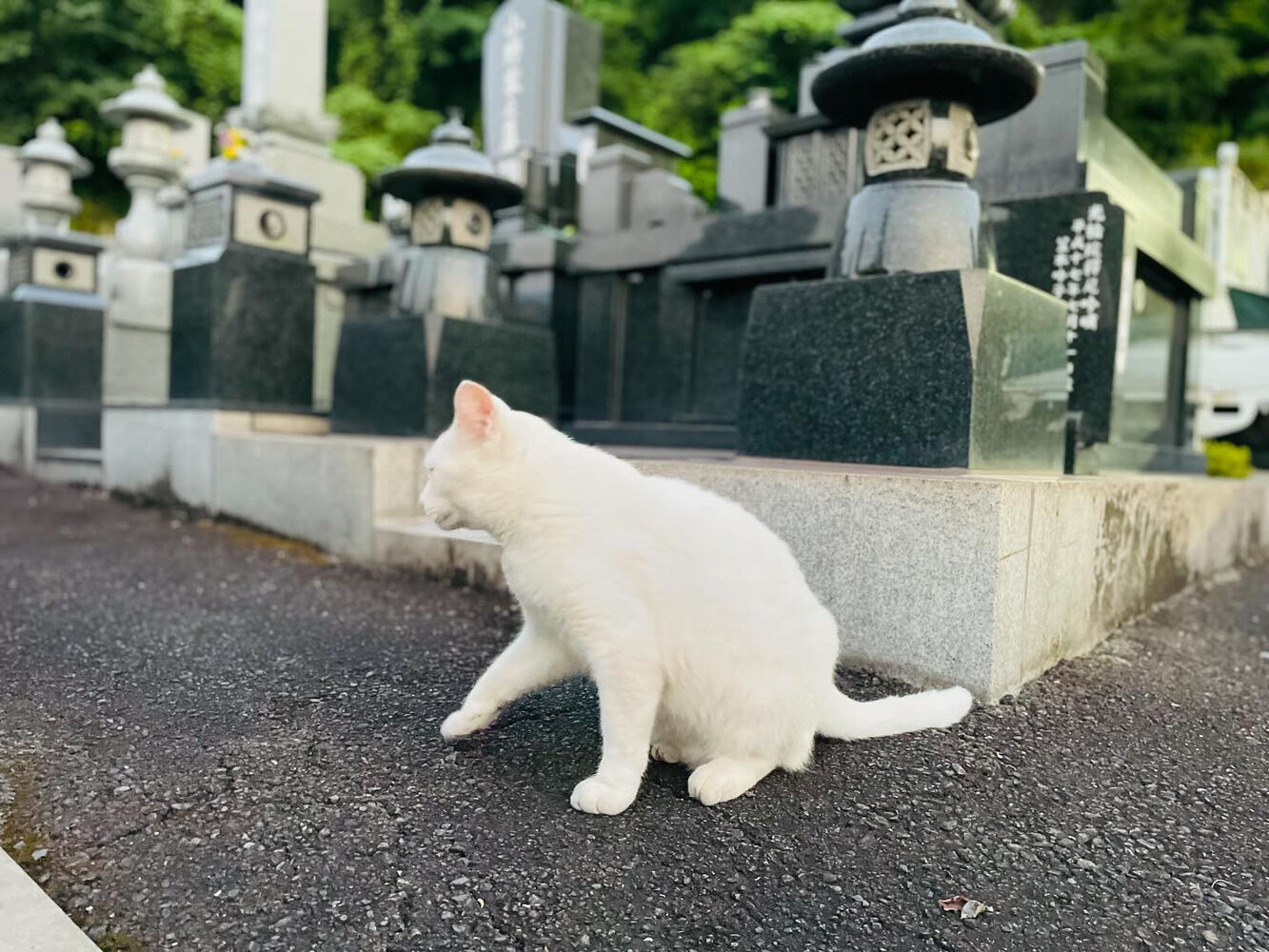 ブログ