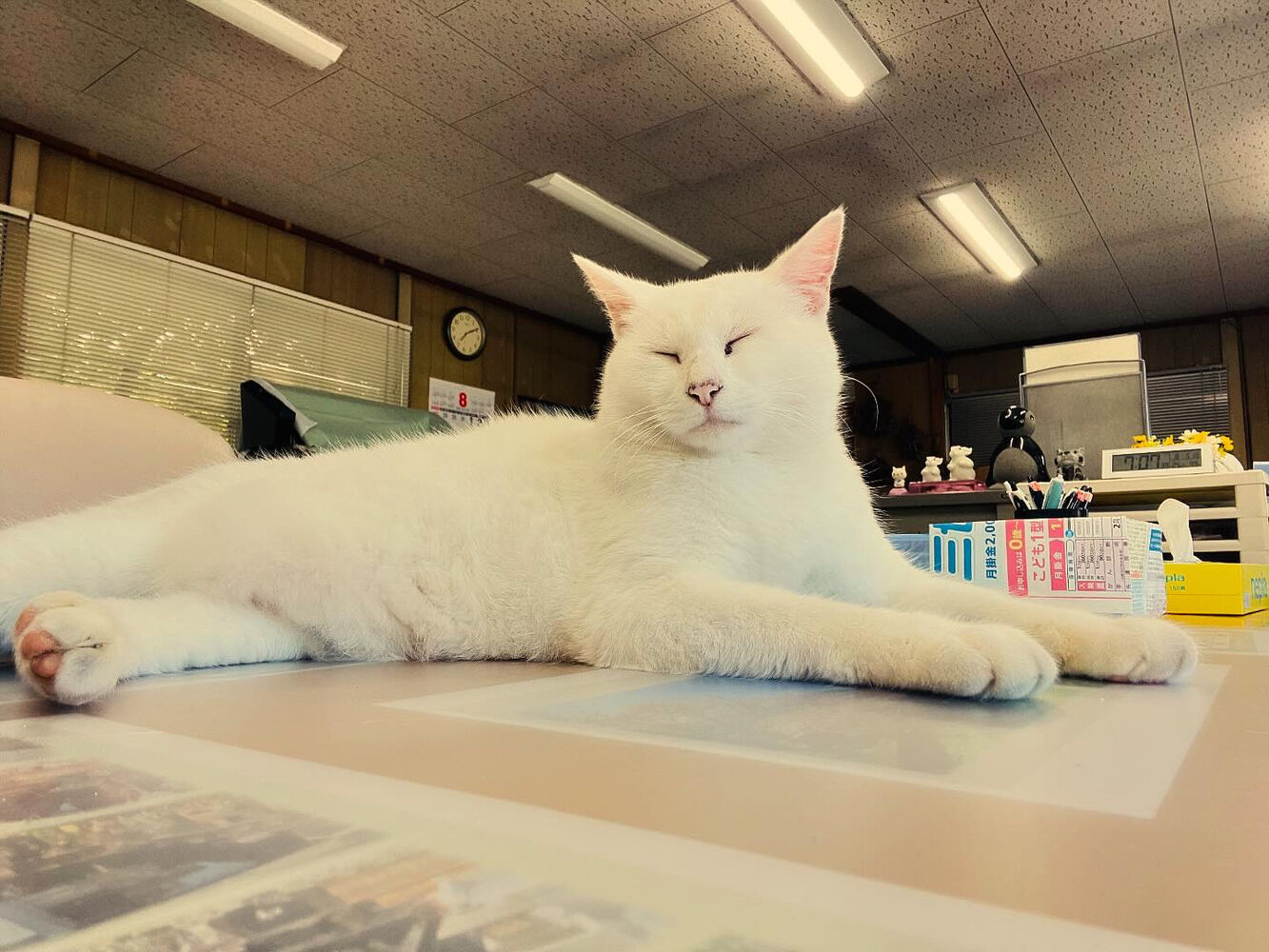 ブログ