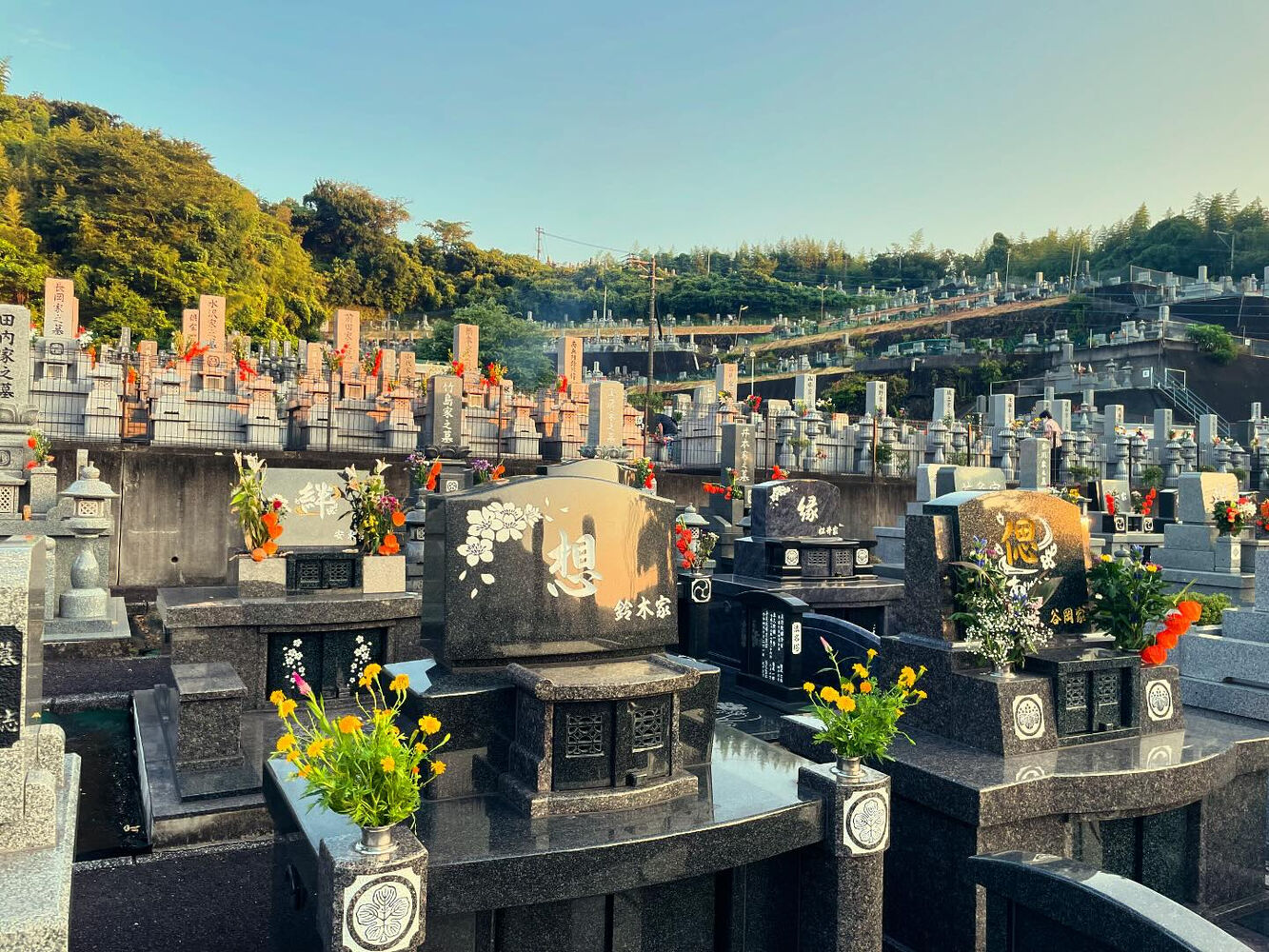 ブログ