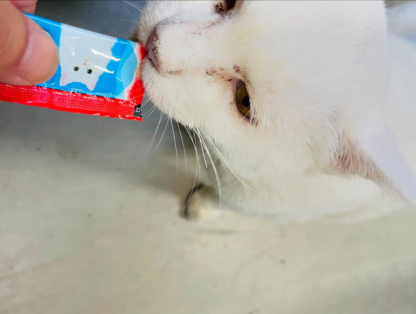 ブログ