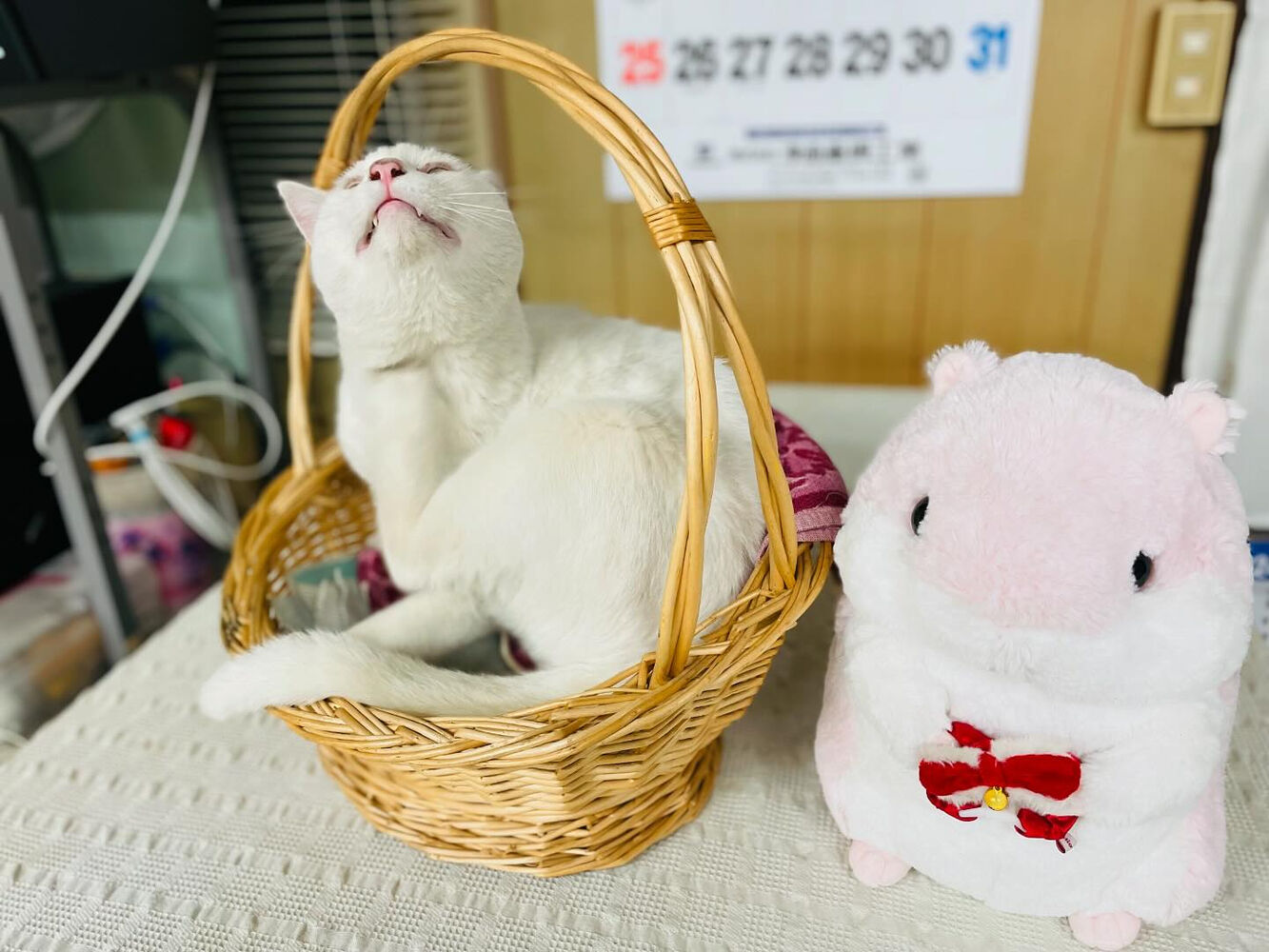 ブログ