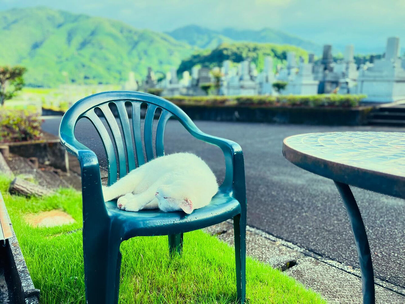 ブログ
