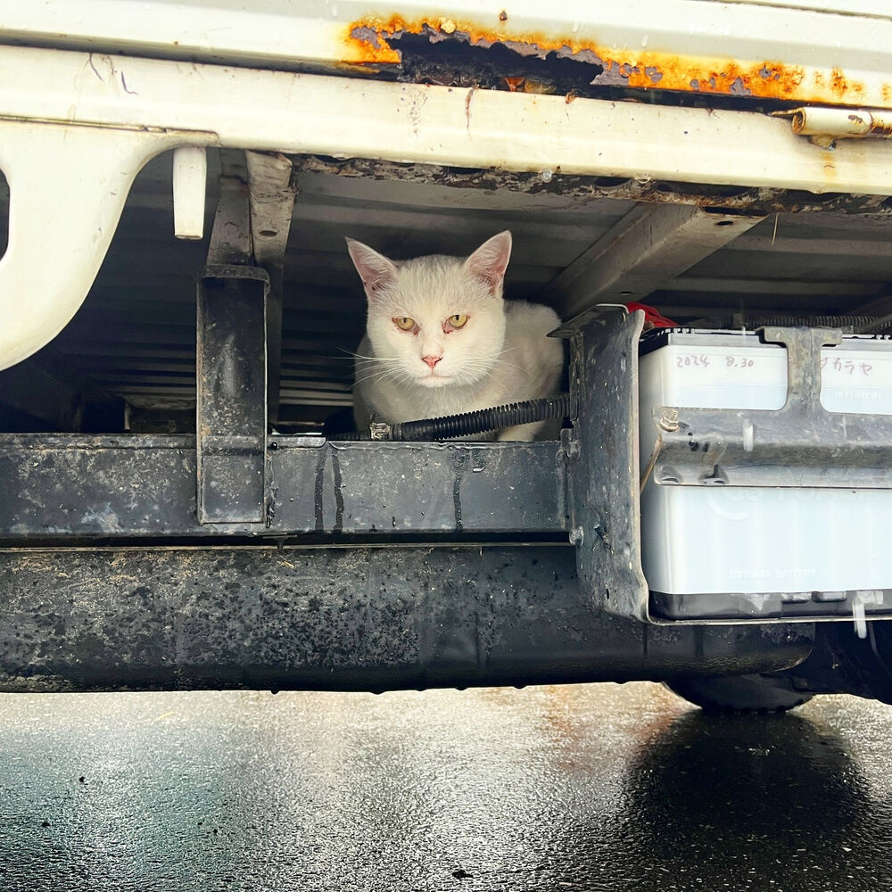 ブログ