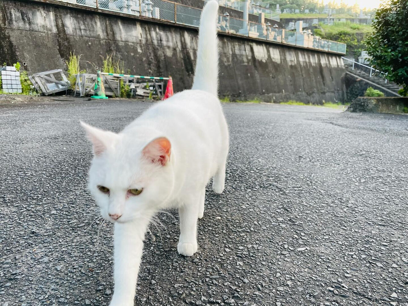 ブログ