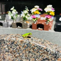 ブログ
