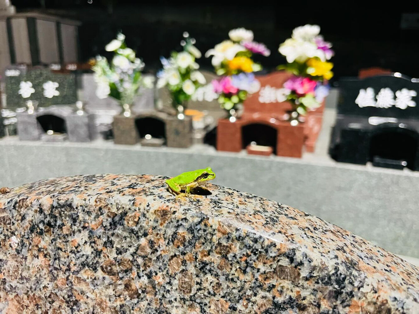 ブログ
