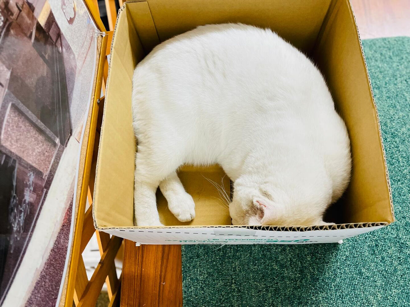 ブログ