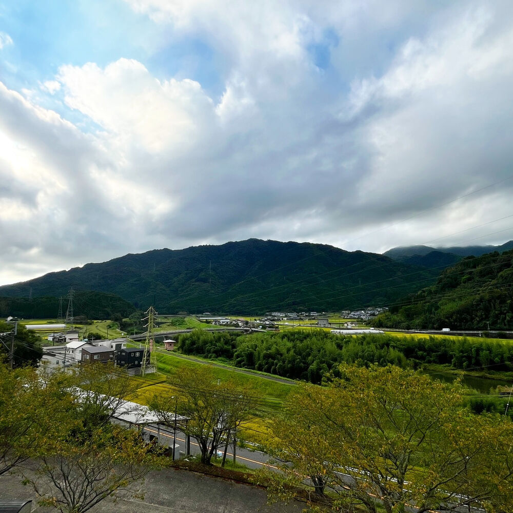 ブログ
