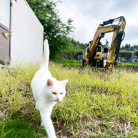 ブログ