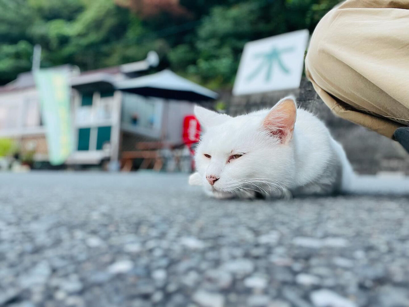 ブログ