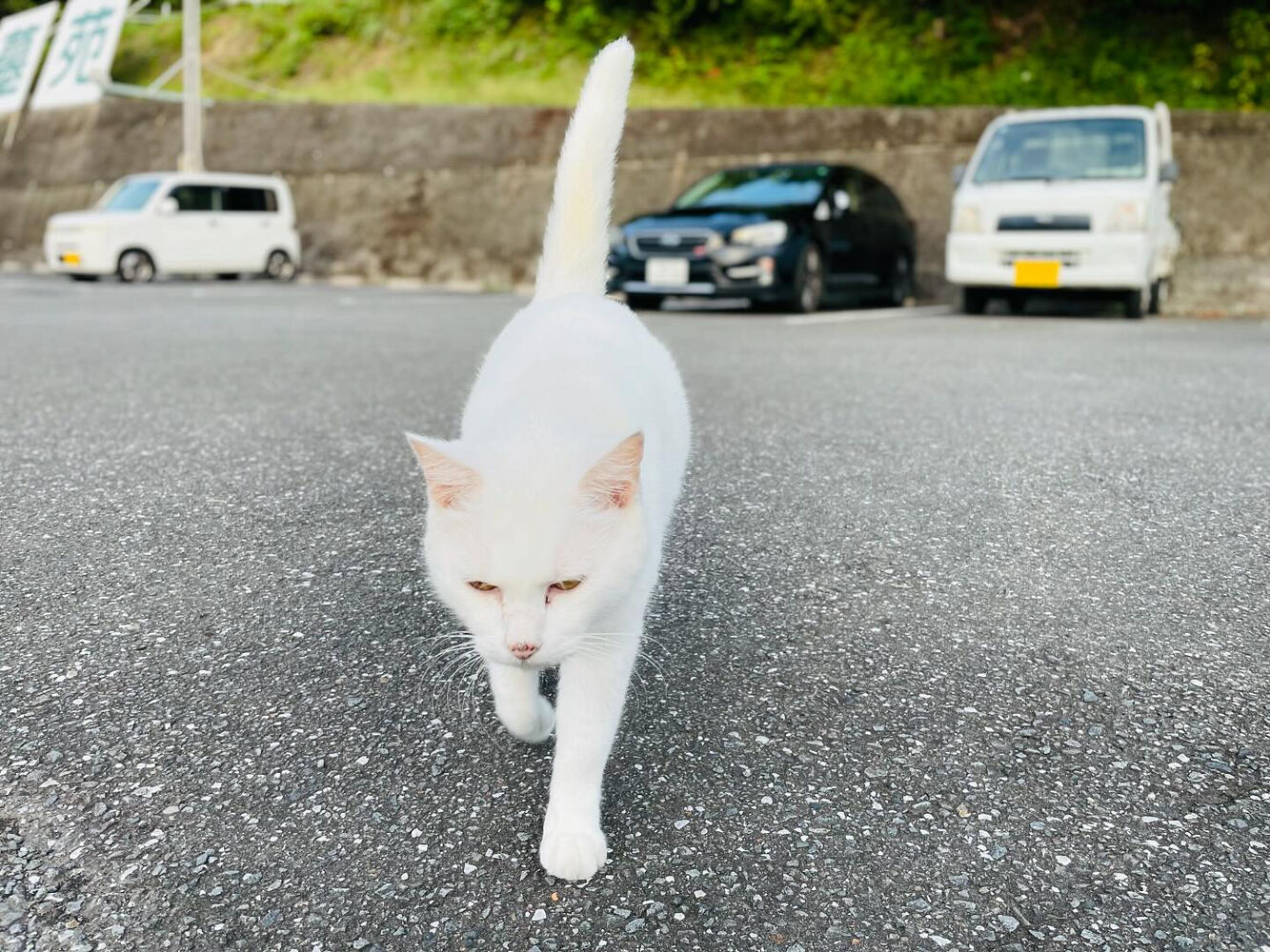 ブログ