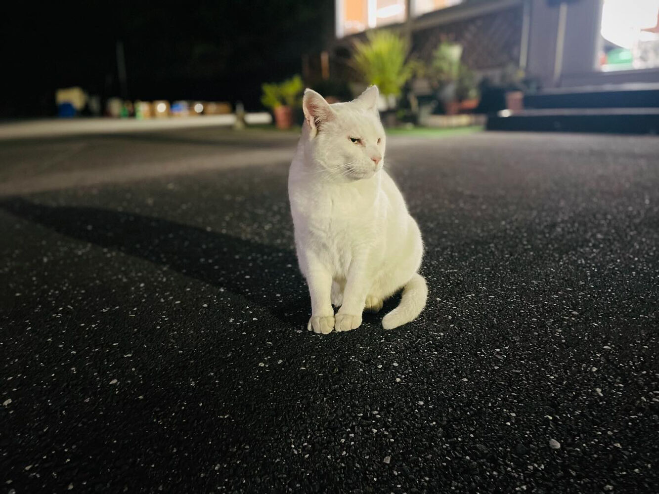 ブログ