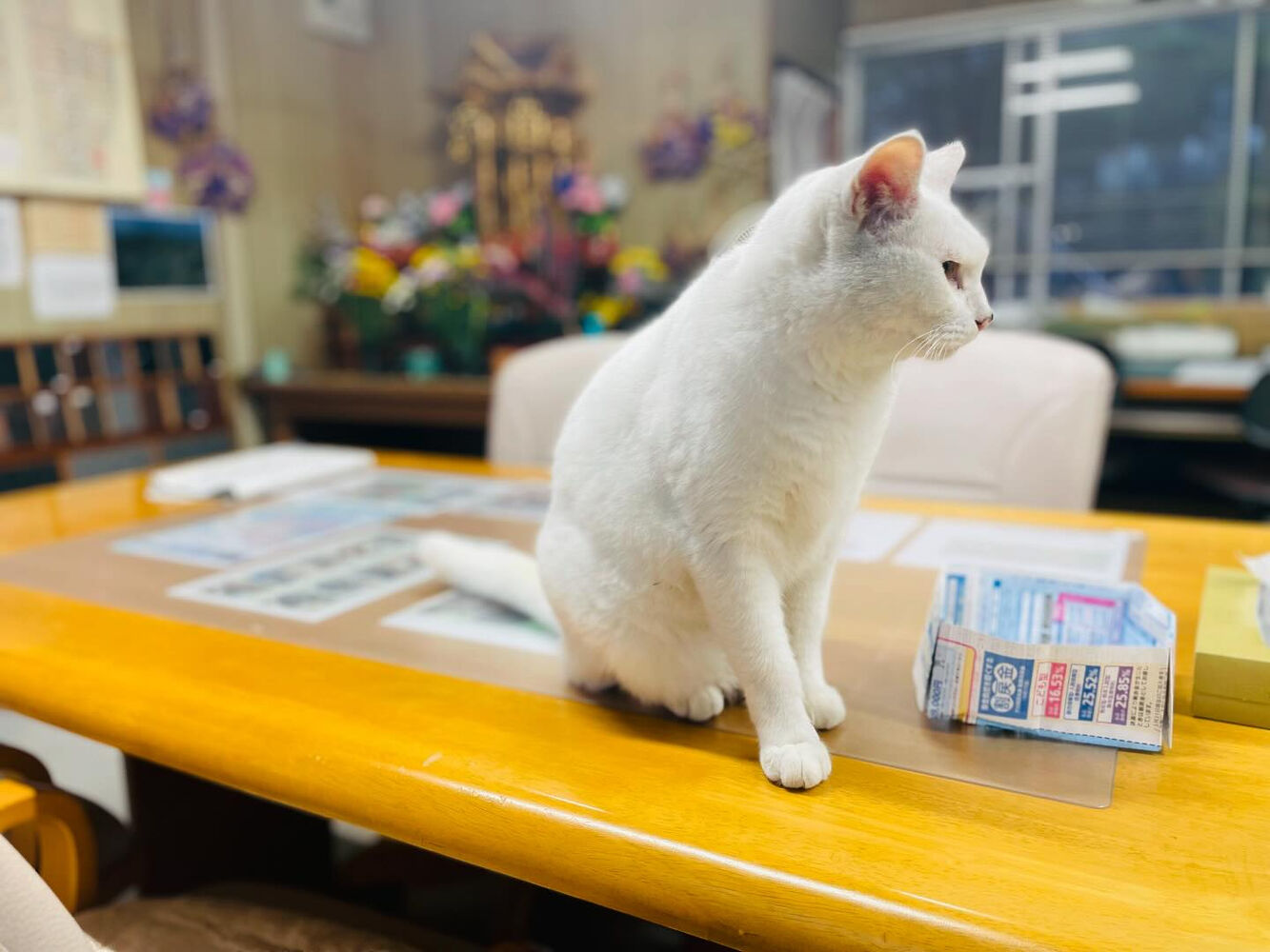 ブログ