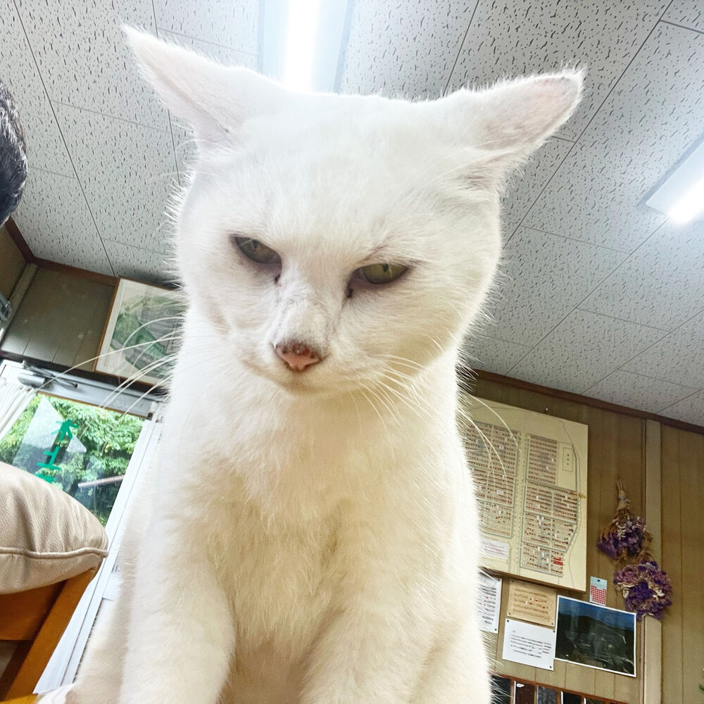 ブログ