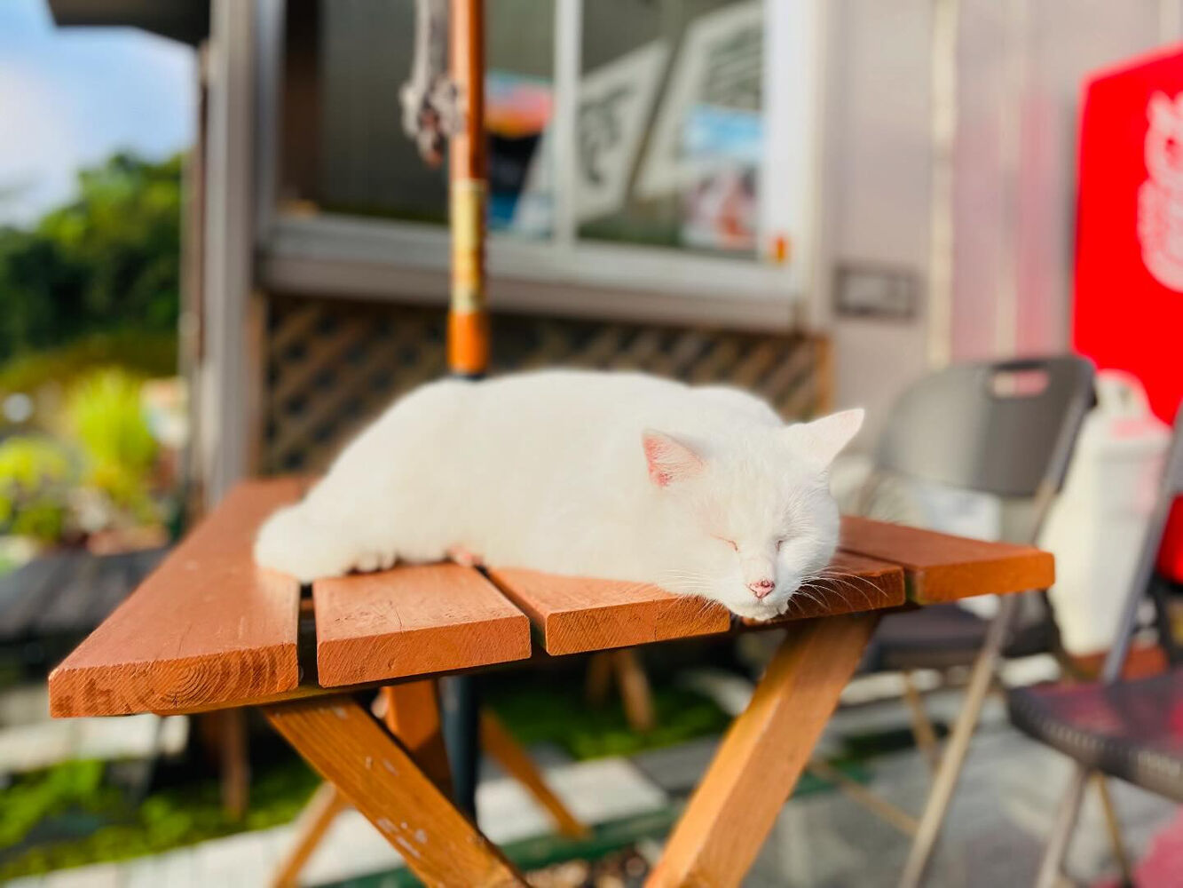 ブログ