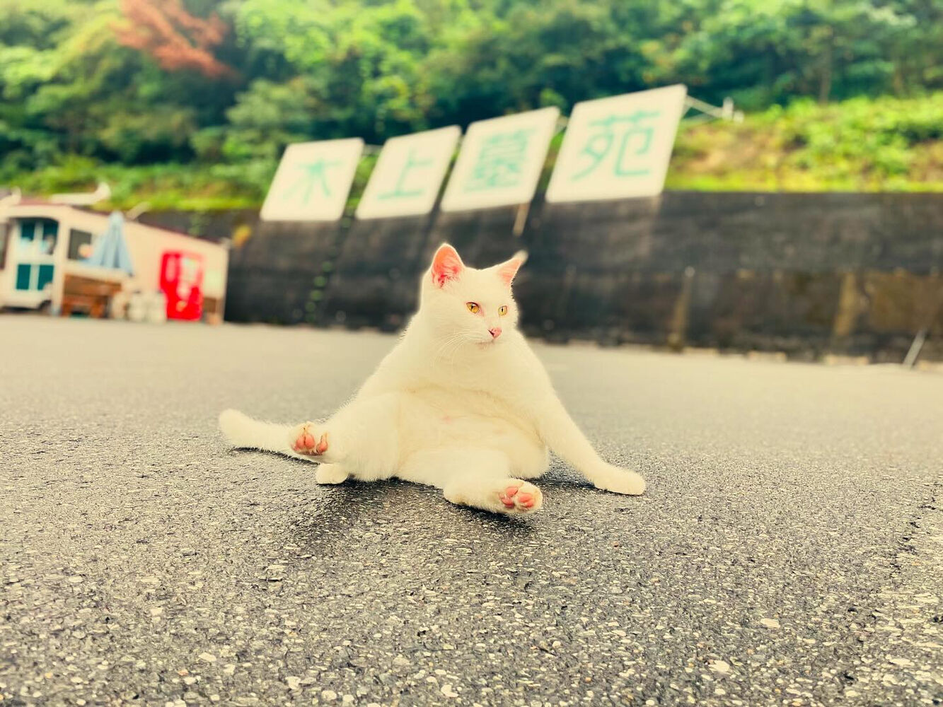 ブログ