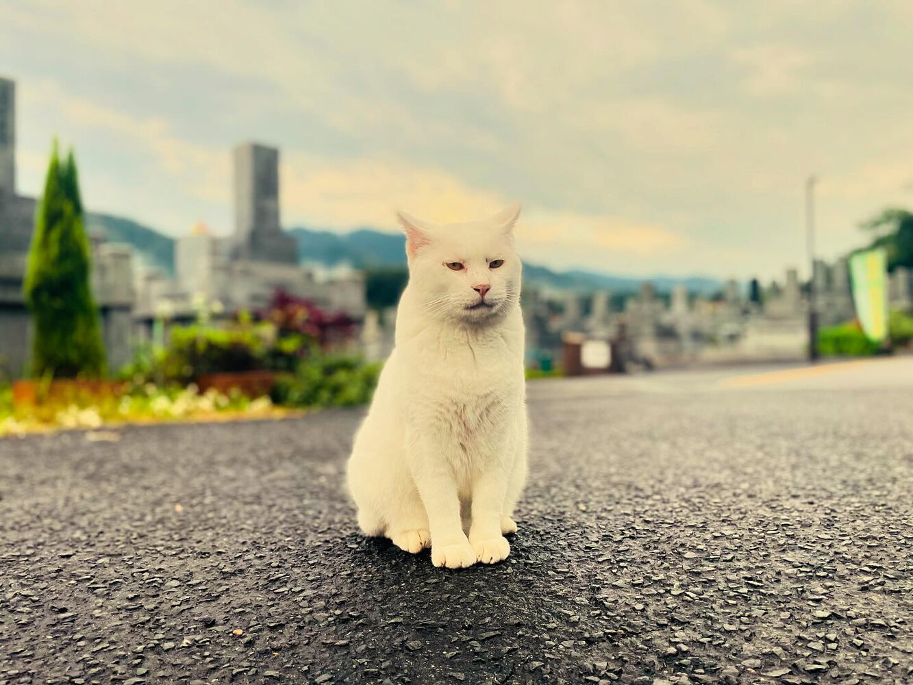 ブログ