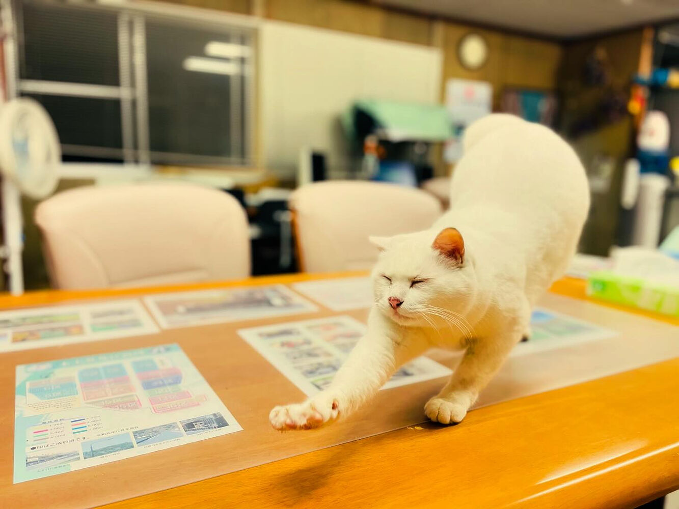 ブログ