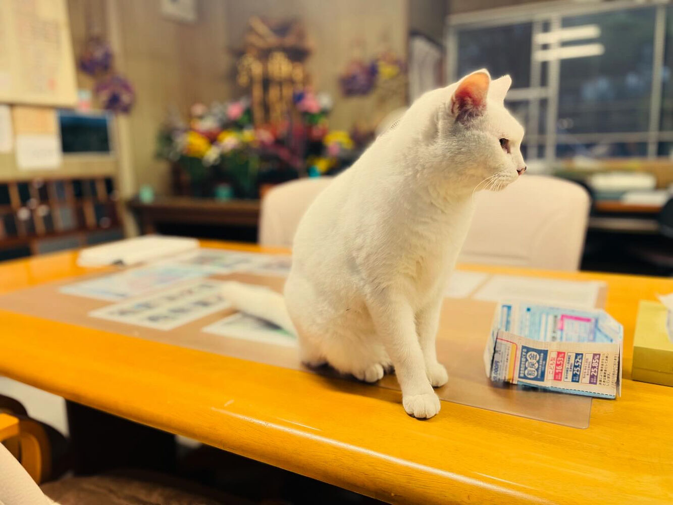 ブログ