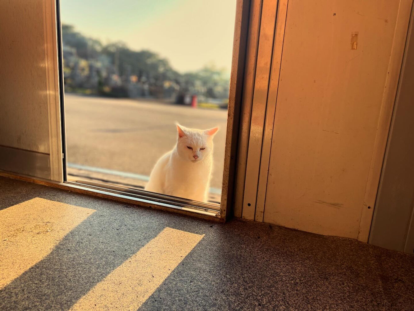 ブログ