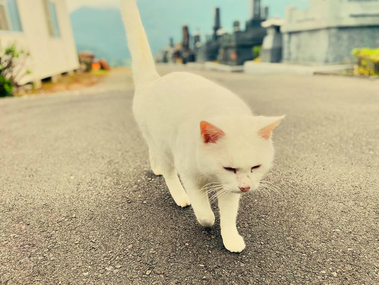 ブログ