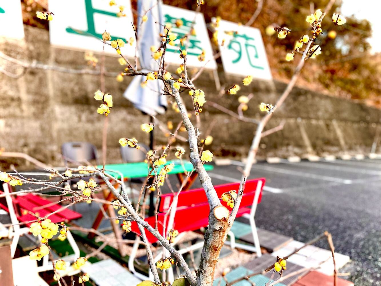 ブログ