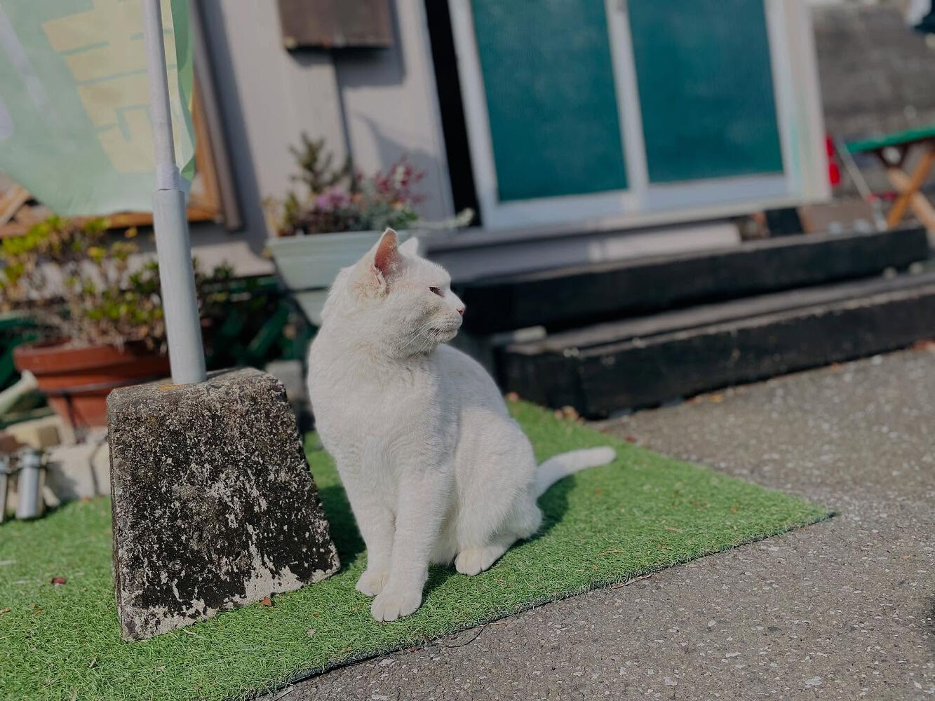 ブログ