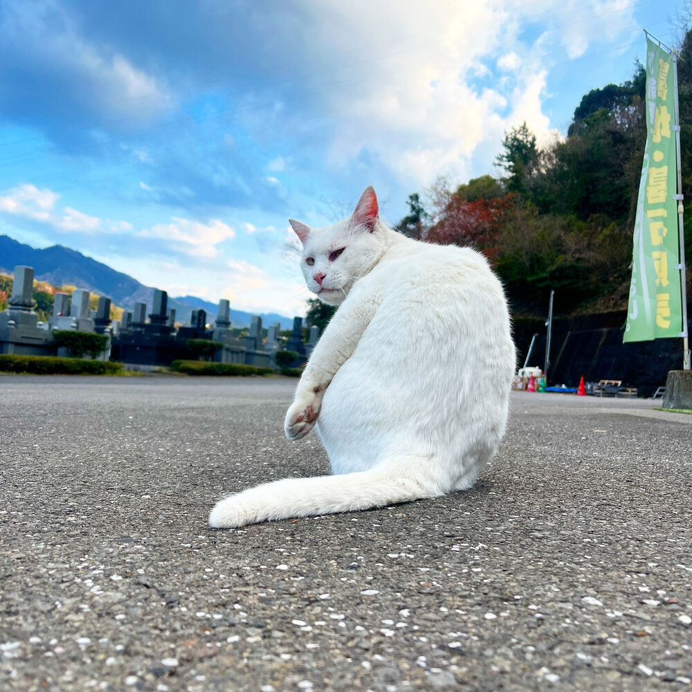 ブログ