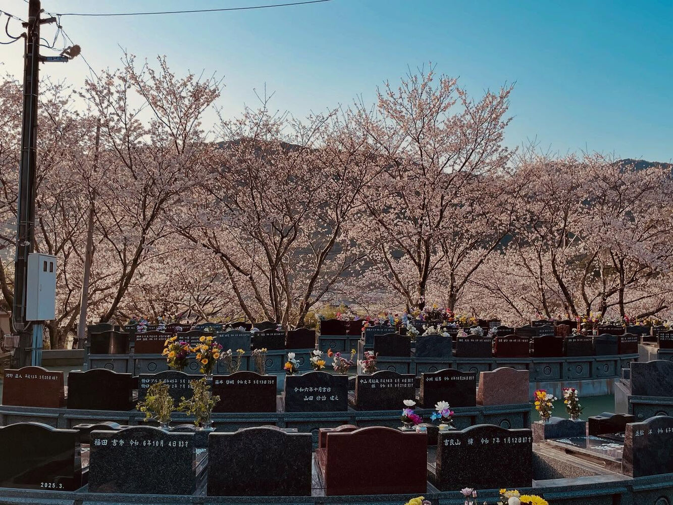ブログ