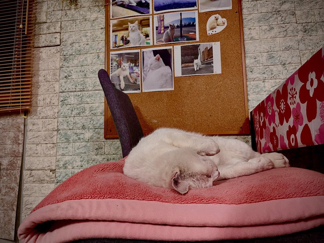 ブログ