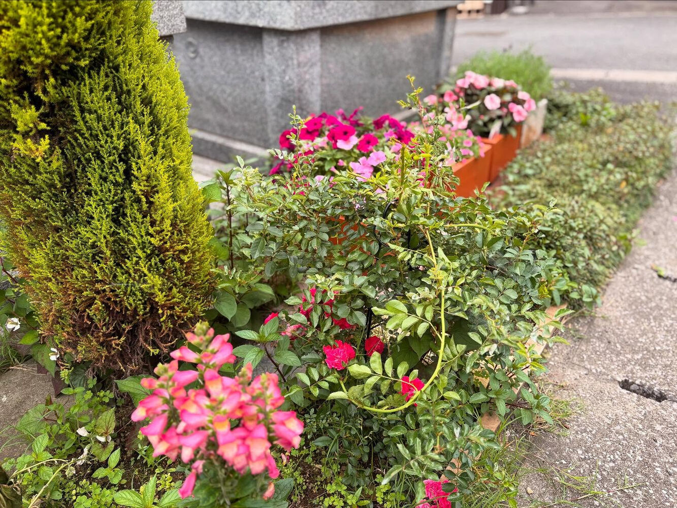 ブログ