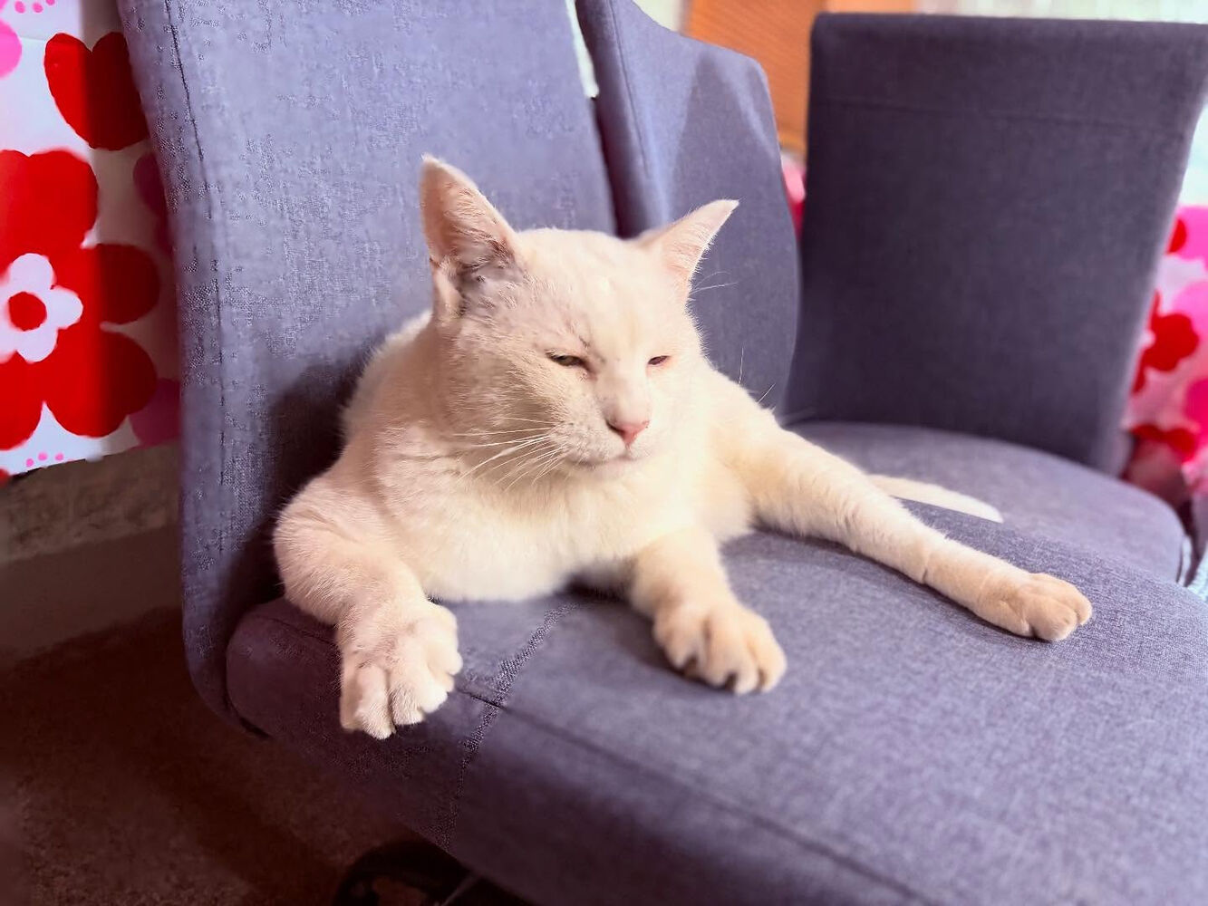 ブログ