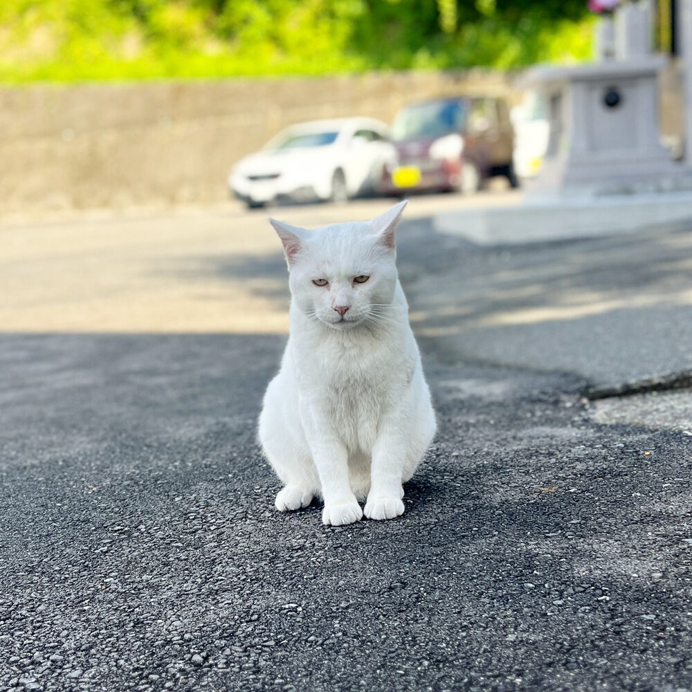 ブログ