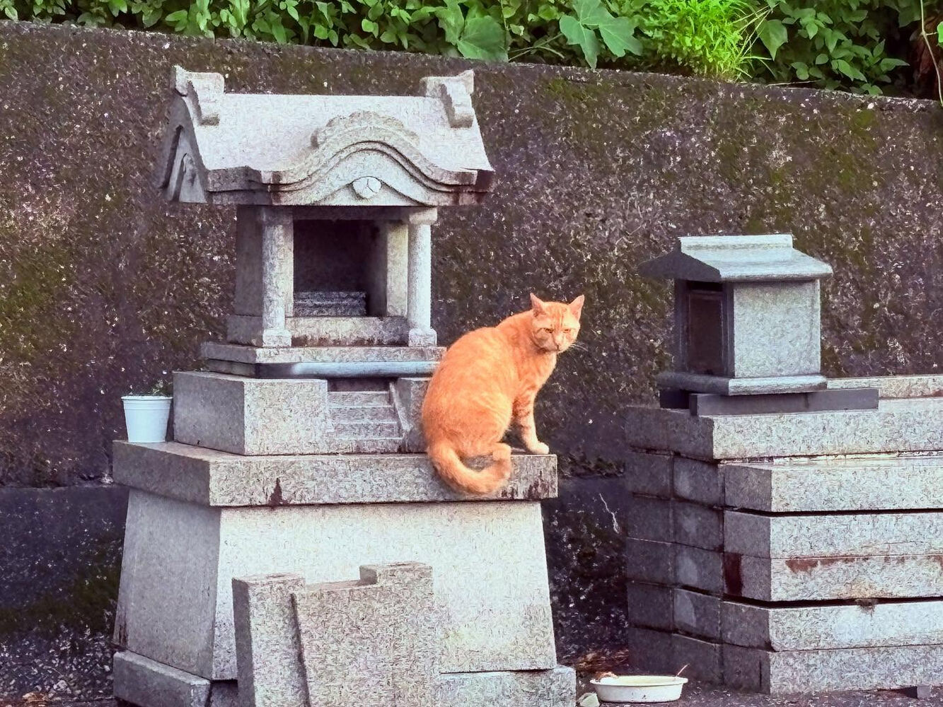 ブログ