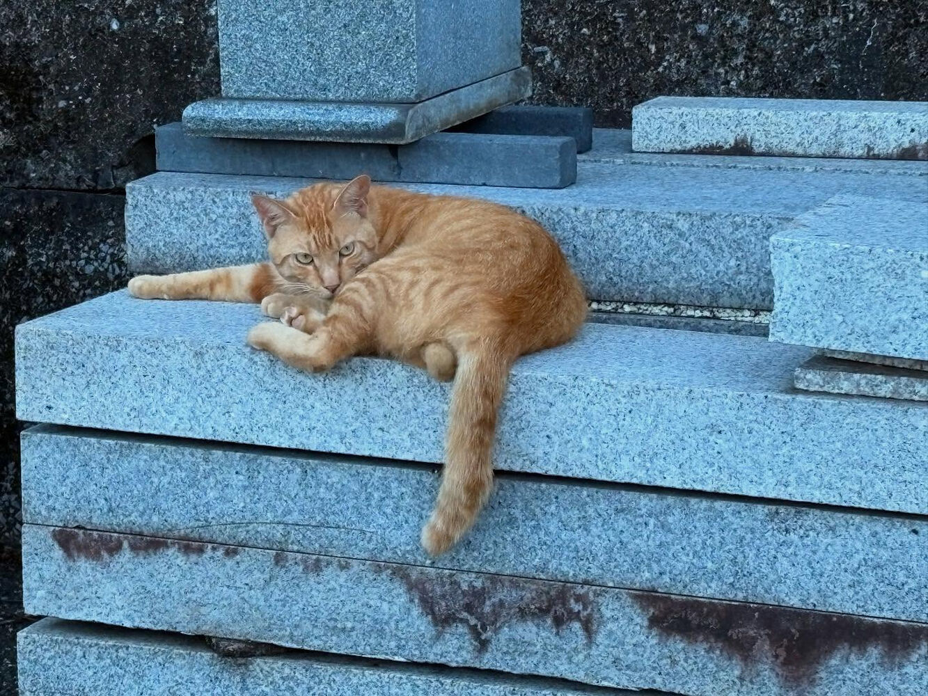 ブログ