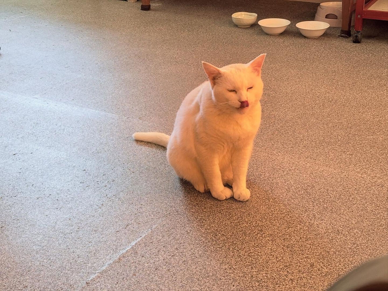 ブログ