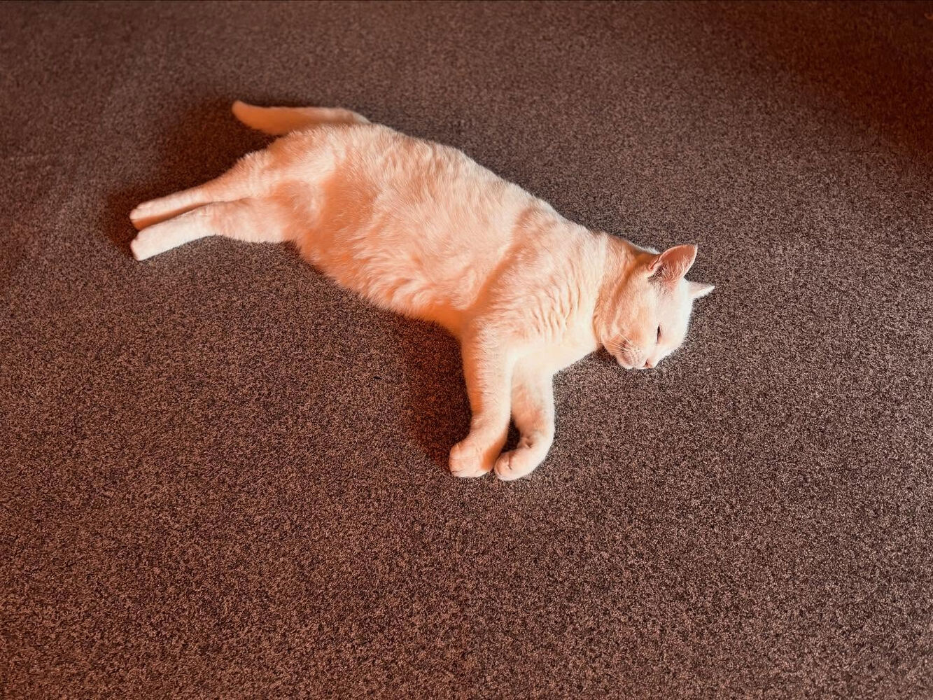 ブログ