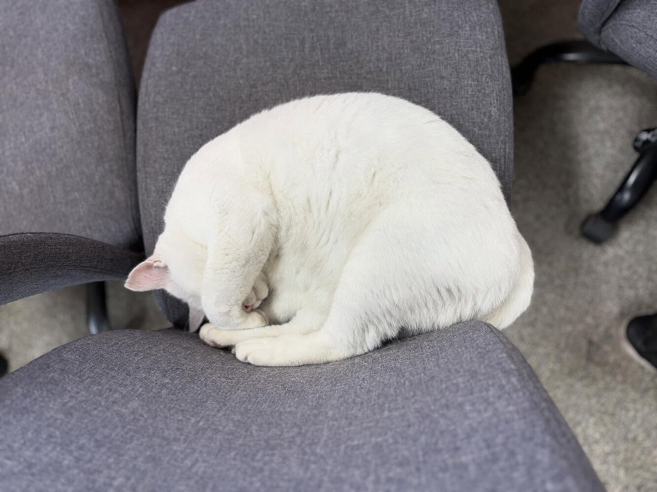 ブログ