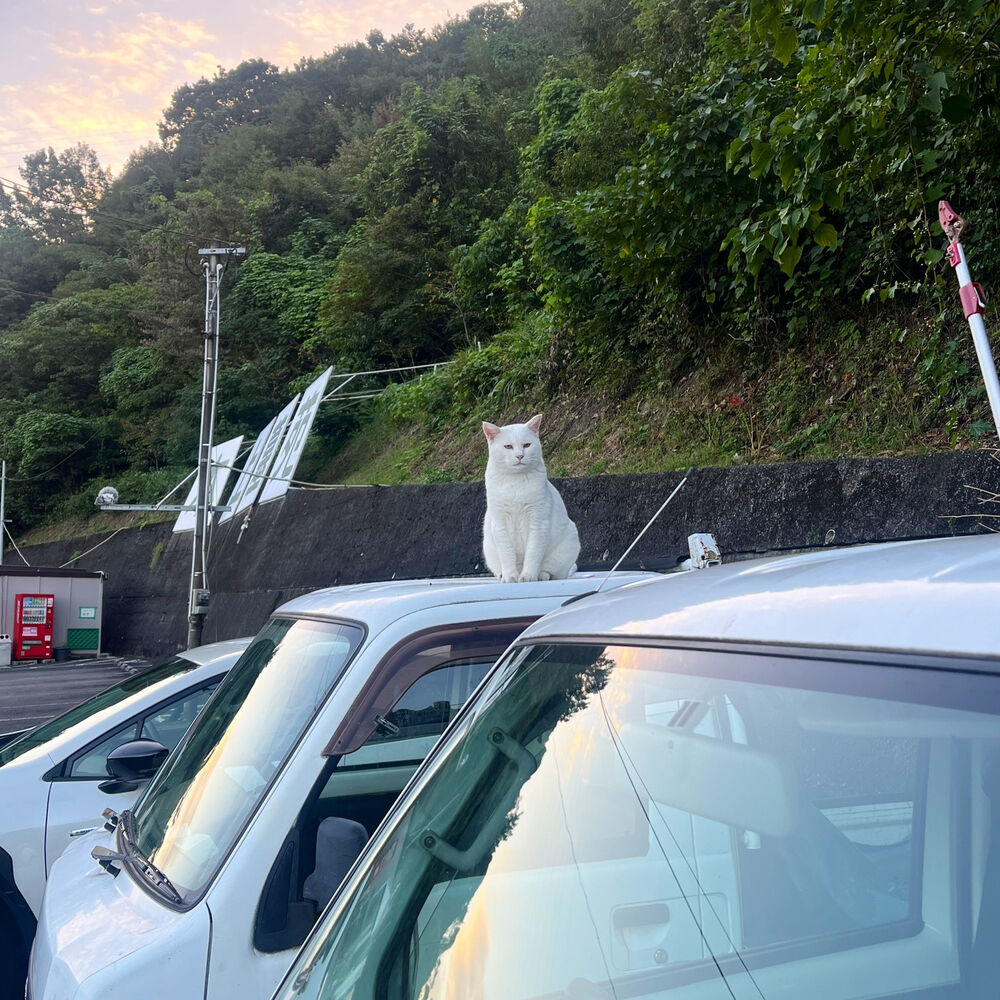 ブログ