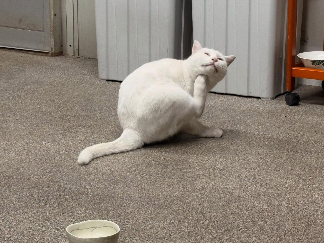ブログ